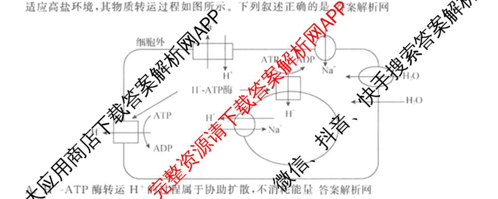 天舟高考衡中同卷2026年普通高等学校招生全国统一考试模拟信息卷(六)6试卷及答案汇总: 含化学(山东版) 英语(通用版) 生物(WY)试卷解析生物试题
