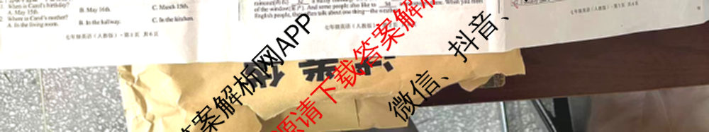 2023-2024学年安徽省七年级教学质量检测(七VII)各科答案及试卷: 含数学(沪科版)、道德与法治、地理试卷解析英语试题