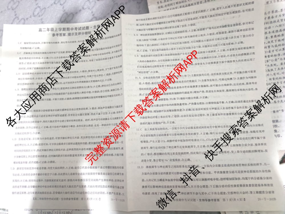 吉林省2025-2026高二年级上学期期中考试试题(26-T-202B)试卷及答案汇总: 含历史、地理、数学试卷解析生物答案