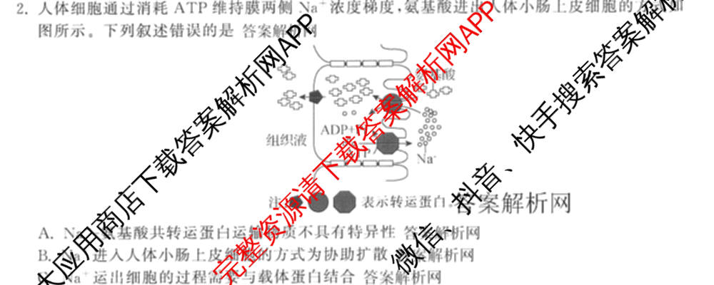 天舟高考衡中同卷2026年普通高等学校招生全国统一考试模拟信息卷(五)5(已更新化学(无字母)、数学(B)、物理(WY)等35份)生物试题