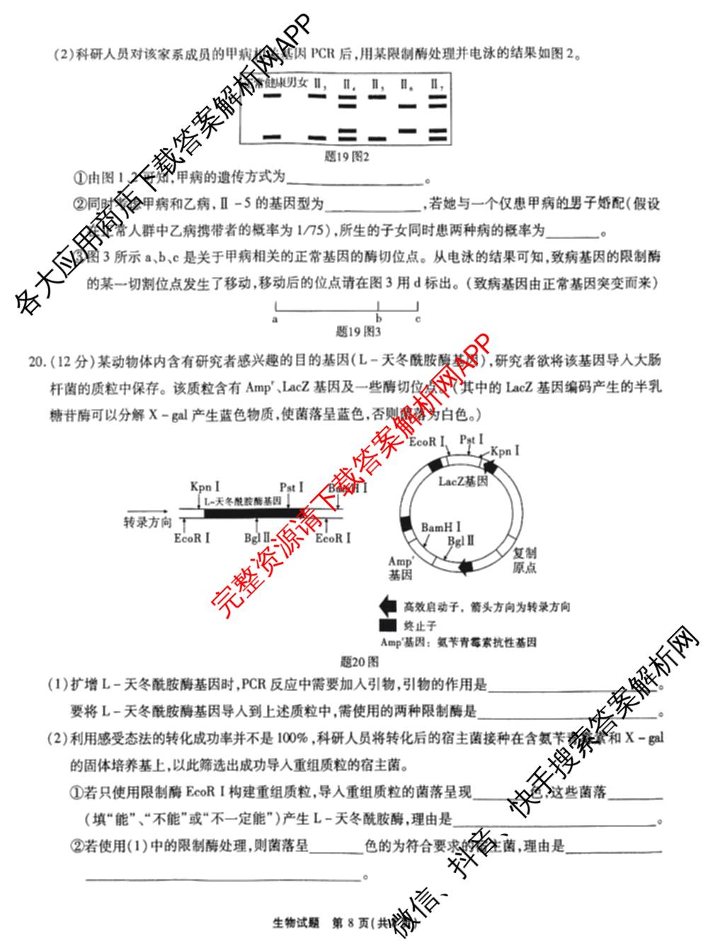 安徽六校教育研究会2025届高三年级入学素质测试试卷及答案汇总（含历史 数学 化学等）生物试题