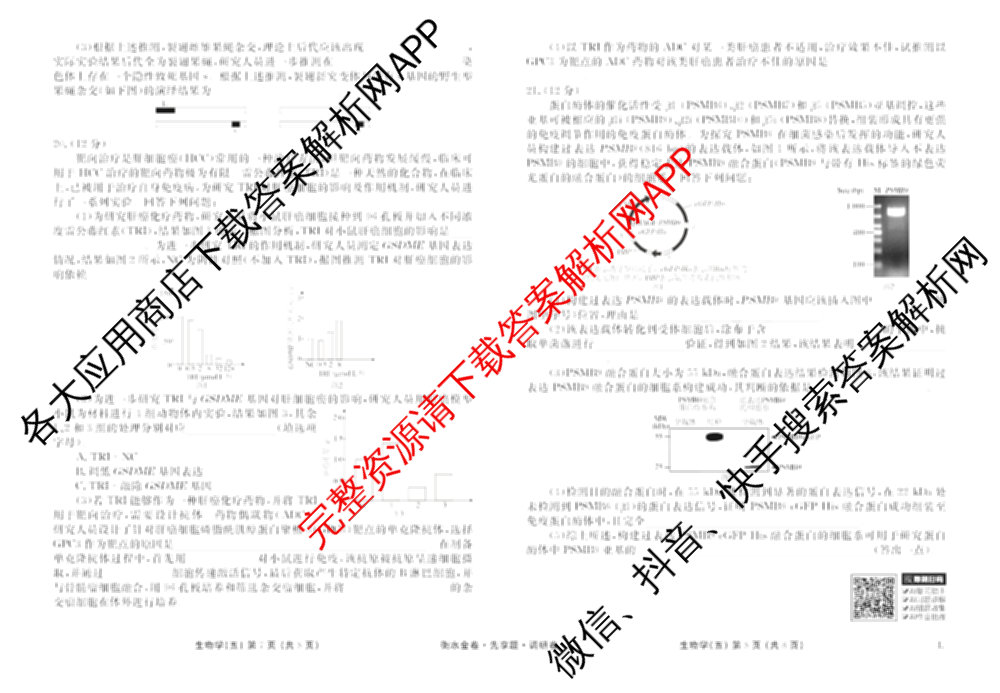 衡水金卷先享题调研卷2026年普通高等学校招生全国统一考试模拟试题(五)5各科答案及试卷（91科全）生物试题