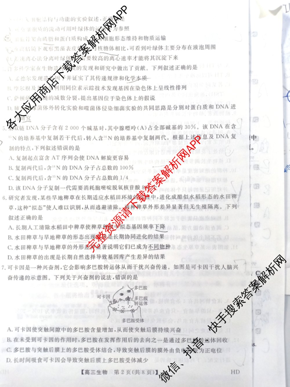 河北省2025-2026学年上学期高三年级12月份考试(HD)各科答案及试卷（含历史 化学 英语等）生物试题