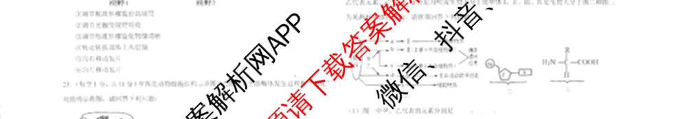 陕西省汉中市勉县2025-2026学年度第一学期期中考(试卷)高一（含物理、政治、英语等）生物试题