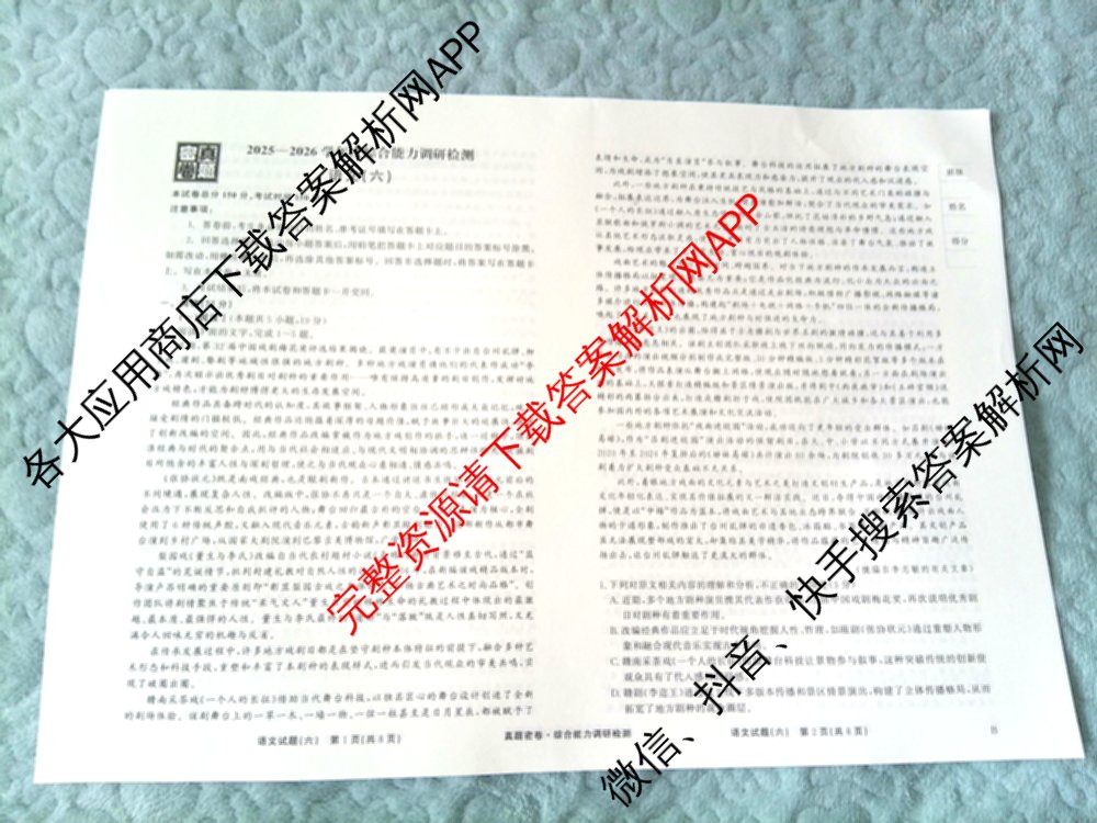 衡水真题密卷2025-2026学年度综合能力调研检测(六)6（含化学(2)、政治(2)、生物(2)等）语文试题