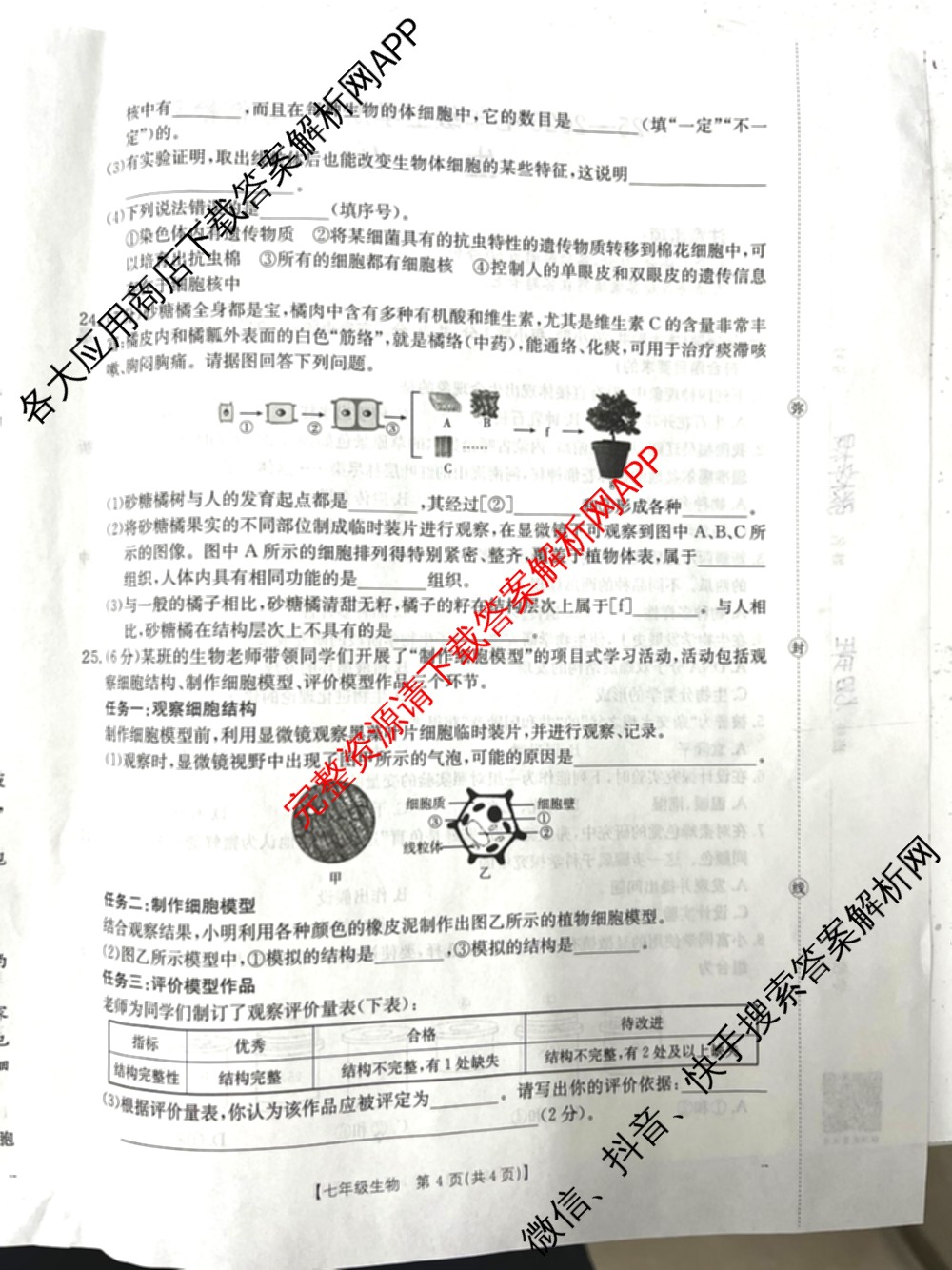 2025-2026七年级上学期期中学情检测试卷及答案汇总（含历史、语文、生物等7份）生物试题