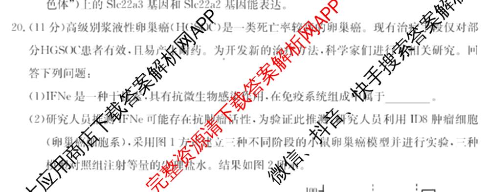 2025~2026学年度广东省高三
