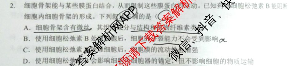 江淮十校2025届高三第一次联考(2024.8)试卷及答案汇总（含化学、数学、语文等）生物试题