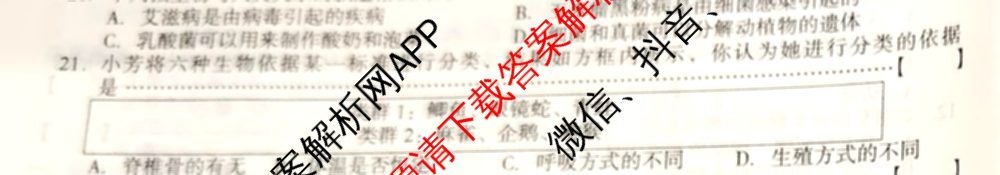 2024-2025学年安徽省七年级教学质量检测四(IV)各科答案及试卷(已更新数学(沪科版) 地理(人教版) 语文等8份)生物试题