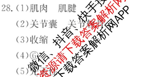 [页脚黑体八年级科目名称]安徽省2024-2025八年级1月无标题考试(江淮名卷)试卷及答案汇总(已更新历史 物理(沪科版) 英语(人教版)等18份)生物答案