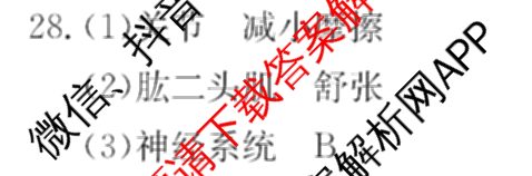[页脚黑体八年级科目名称]安徽省2024-2025八年级1月无标题考试(江淮名卷)试卷及答案汇总(已更新历史 物理(沪科版) 英语(人教版)等18份)生物答案