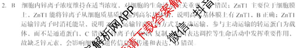 1号卷A10联盟2025年高考原创预测卷(二)2各科答案及试卷(已更新物理、生物、语文等9份)生物答案