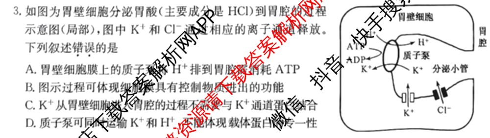 三晋卓越联盟2024-2025学年高三4月质量检测卷(25-X-537C)(已更新政治、数学、地理等9份)生物试题