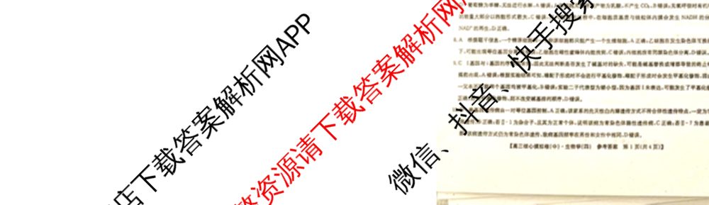 九师联盟2025~2026学年高三核心模拟卷(中)(四)（含政治(D4) 物理(HF) 语文等）生物答案