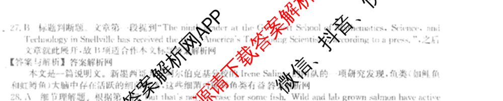2026年普通高等学校招生全国统一考试猜题密卷(一)1(已更新物理(C1)、化学(C3)、政治(ZZ)等11份)英语答案