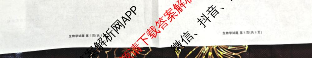 衡水金卷广东省2025届高三年级9月份联考各科答案及试卷（含语文 数学 地理等）生物试题