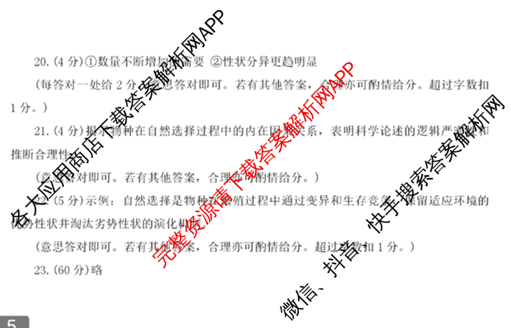 河南省洛阳市2024-2025学年第二学期高二质量检测(2025.6)(已更新语文 数学 物理等9份)语文答案