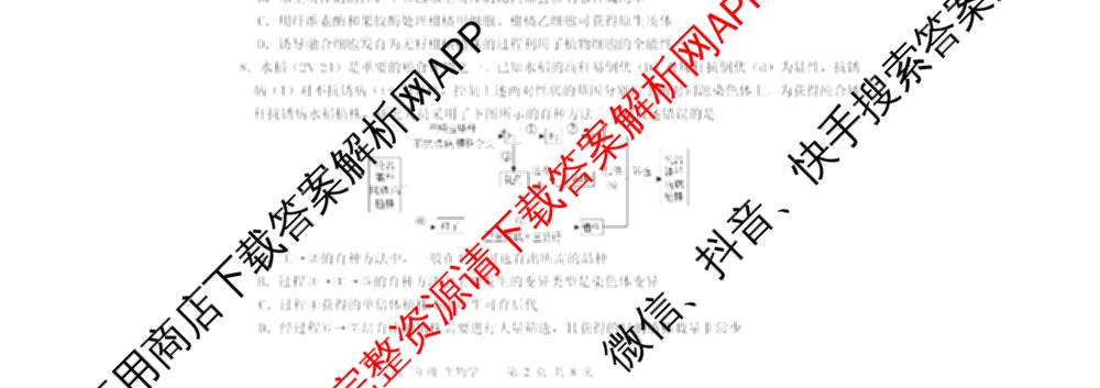 新疆实验中学2024-2025学年第二学期高二年级期末考试各科答案及试卷（含化学 政治 语文等9份）生物试题