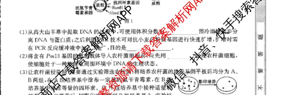临洮县2025年暑假学质量检测(8月)高三各科答案及试卷（9科全）生物试题