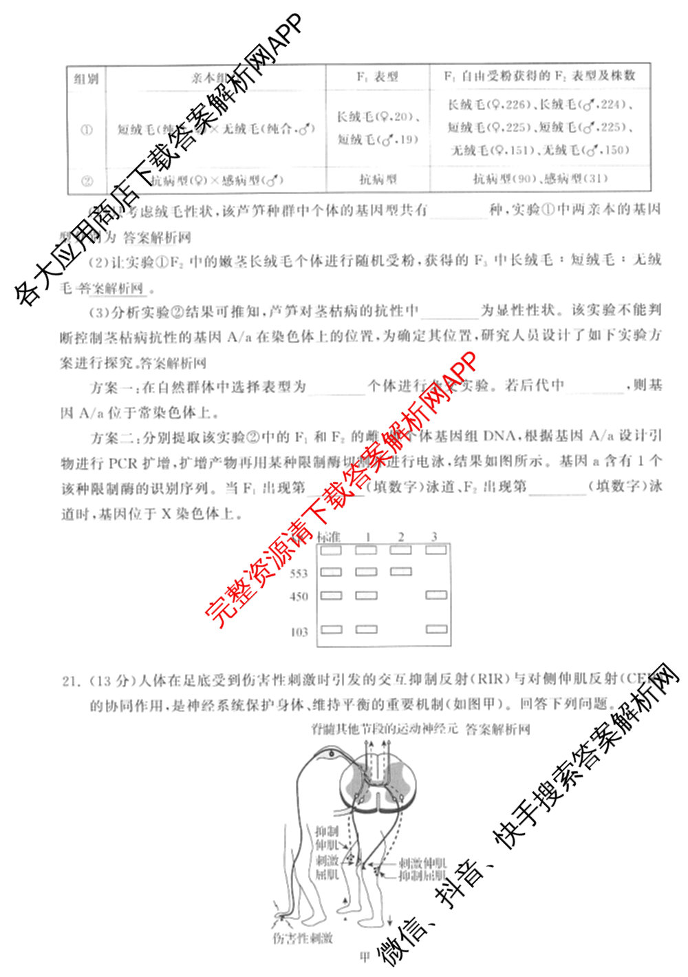 天舟高考衡中同卷2026年普通高等学校招生全国统一考试模拟信息卷(五)5（含化学(JY) 历史(GY) 物理(山东版)等35份）生物试题