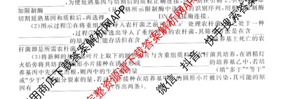 衡水金卷2025-2026学年度高三年级适应性测试(一)各科答案及试卷: 含政治、数学、英语试卷解析生物试题