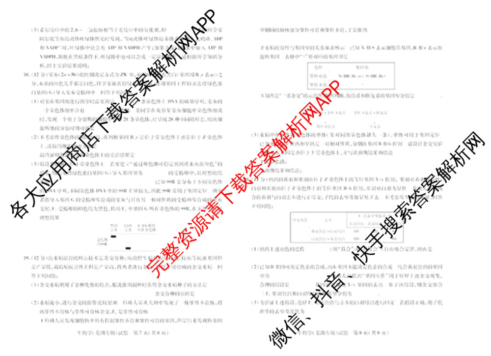 天一大联考安徽2026届高三期中联考(11月)(已更新物理(合肥专版)、历史(宿州专版)、政治等16份)生物试题