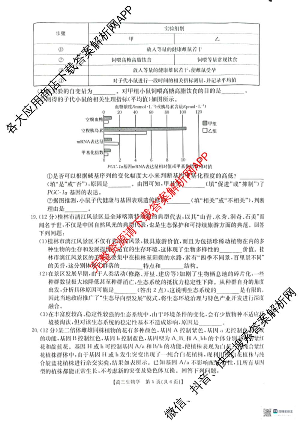 2026届广西高三年级12月联合考试(12.23)试卷及答案汇总: 含生物 数学 英语试卷解析生物试题