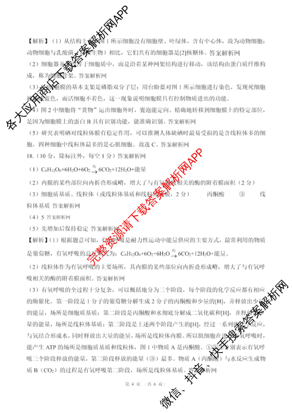 百师联盟2025-2026学年高一上学期阶段测试卷(四)4试卷及答案汇总（含地理(中图版75分钟) 地理(鲁教版75分钟) 生物(75分钟单选)等）生物答案