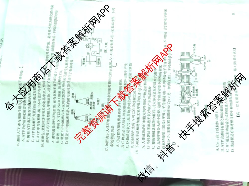 九师联盟2024年高一12月质量检测试卷及答案汇总(已更新地理(人教) 政治(A) 物理等9份)生物试题