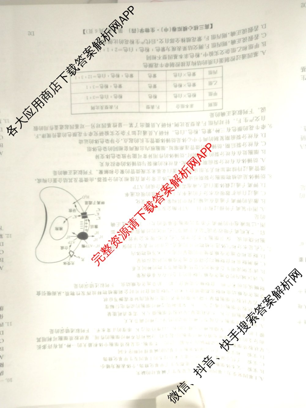 九师联盟2025~2026学年高三核心模拟卷(中)(四)（含政治(D4) 物理(HF) 语文等）生物试题