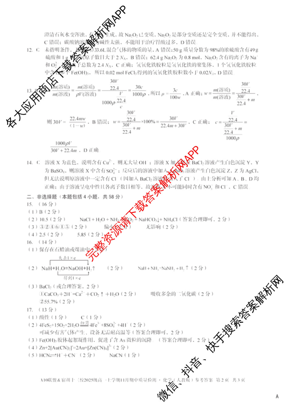 A10联盟&宿州十三校2025级高一上学期11月期中质量检测试卷及答案汇总（19科全）化学答案