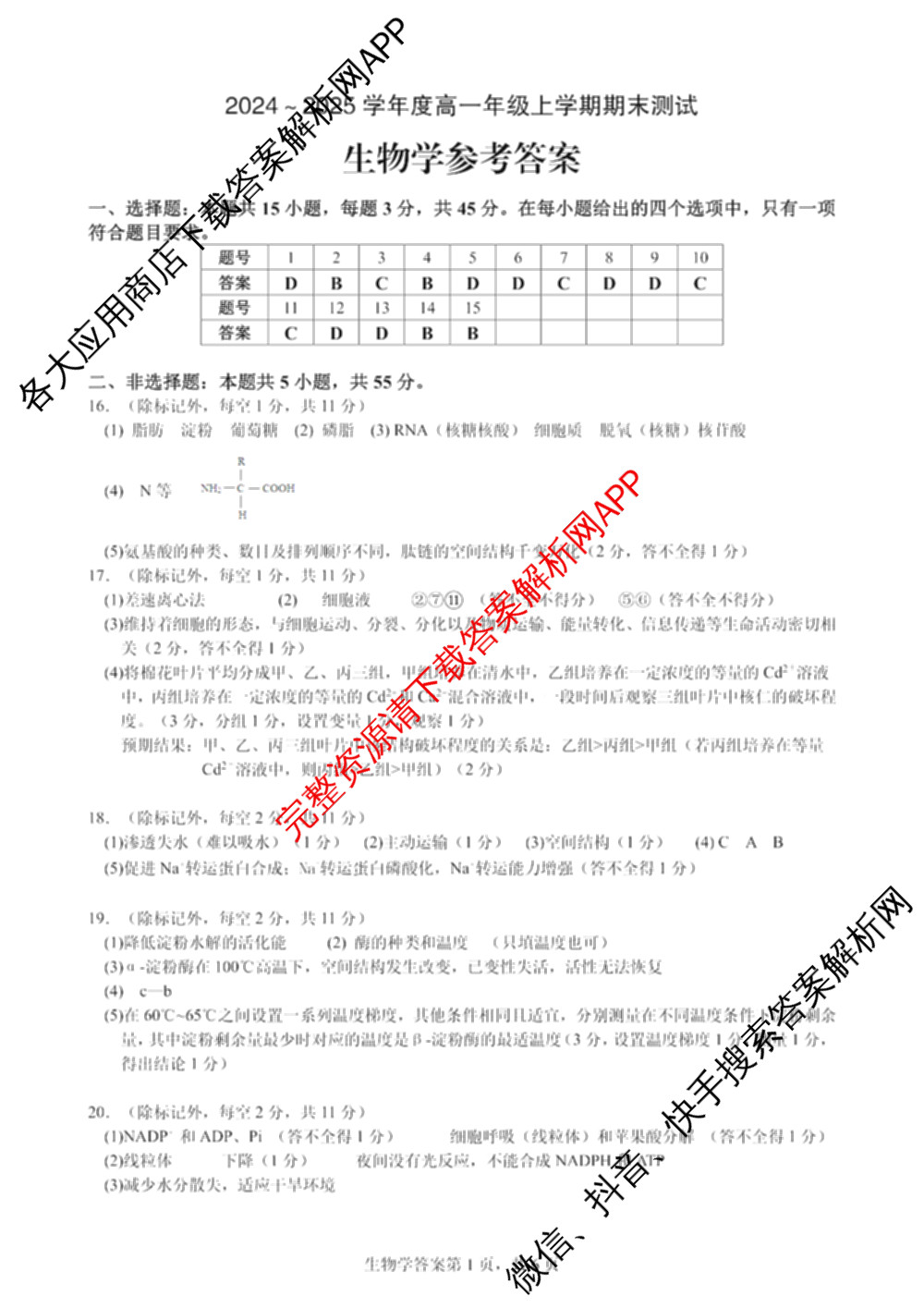 安徽省十联考合肥一中2024-2025学年度高一年级上学期期末测试各科答案及试卷（9科全）生物答案