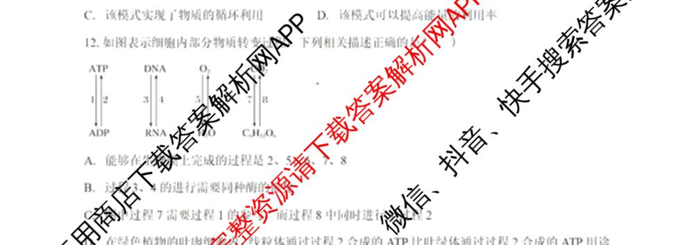 广东省清远一中2025-2026学年度10月期中考试(含政治 化学 地理等9份)生物试题 广东省清远一中2025-2026学年度10月期中考试(含政治 化学 地理等9份)生物试题