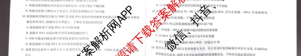 天一大联考2024-2025学年高一年级阶段性测试(四)（含地理、地理(宣城专版)、物理(池州专版)等20份）生物试题