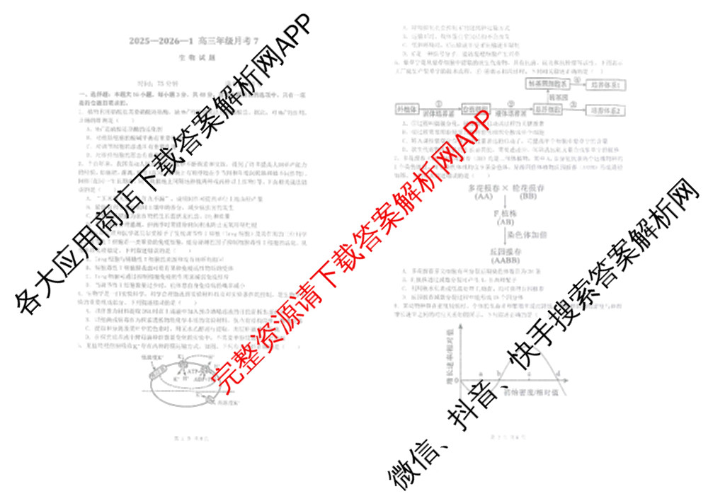 陕西省西安市2025-2026-1高三年级月考7试卷及答案汇总（含化学、历史、生物等）生物试题