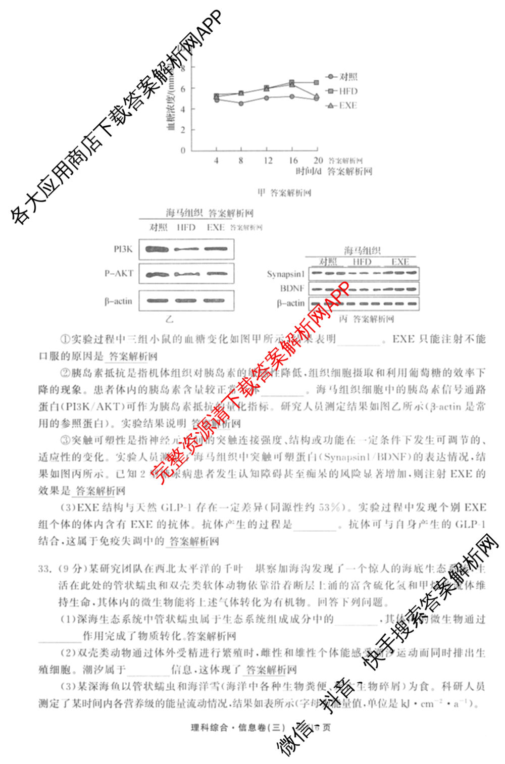 天舟高考衡中同卷2026年普通高等学校招生全国统一考试模拟信息卷(三)3（35科全）理综试题