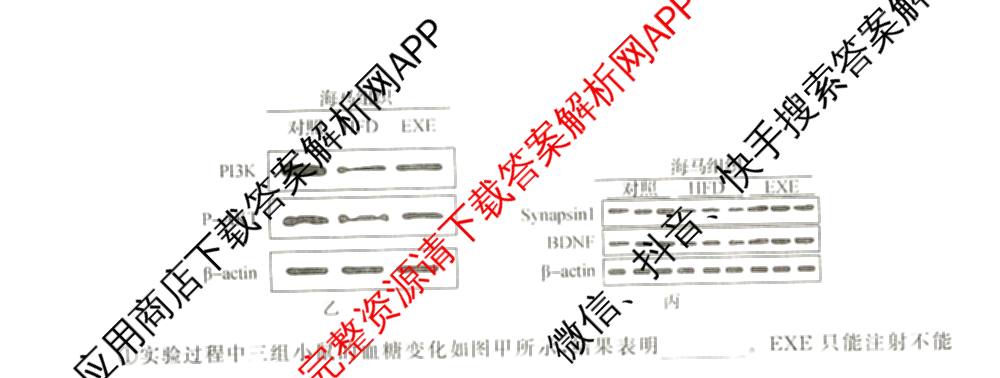 天舟高考衡中同卷2026年普通高等学校招生全国统一考试模拟信息卷(三)3(已更新化学(WG) 地理 生物(WY)等35份)生物试题