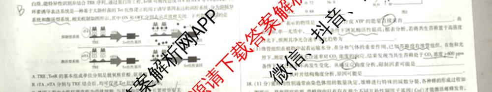天一大联考2026届高考全真模拟卷(七)7试卷及答案汇总: 含物理(湖南专版) 化学(专版) 物理(山西专版)试卷解析生物试题