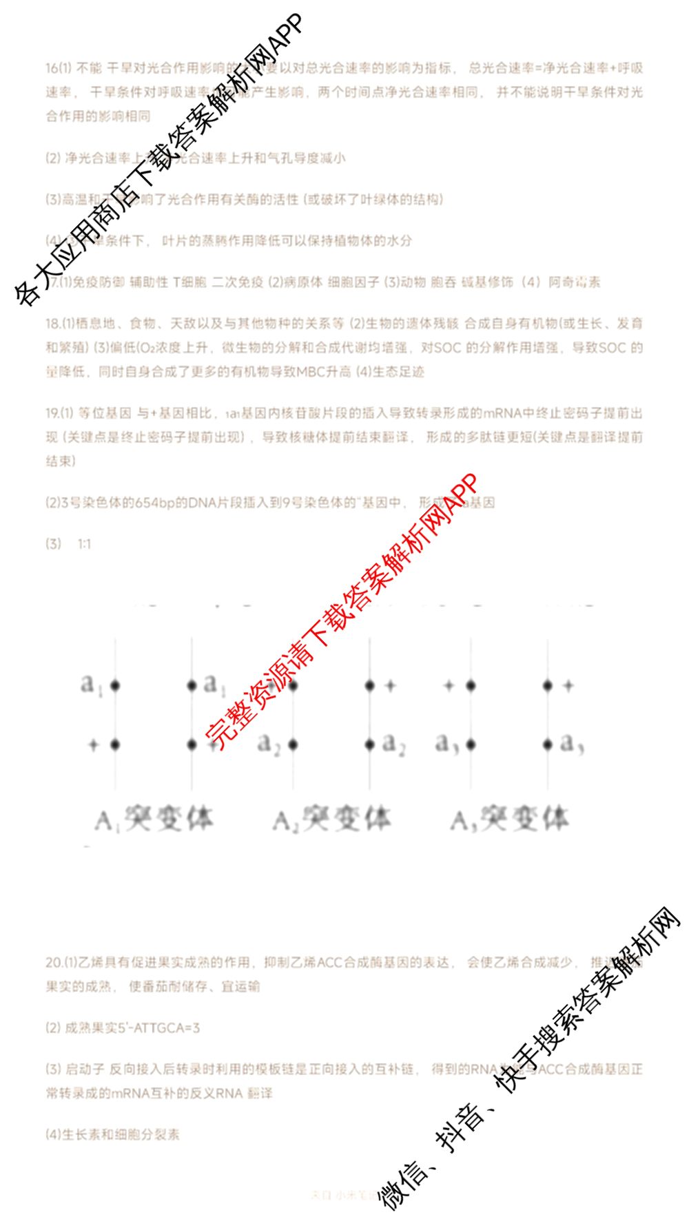 2025新高考单科模拟综合卷(三)3试卷及答案汇总（含历史(湖南) 物理(河北) 生物(河北)等36份）生物答案