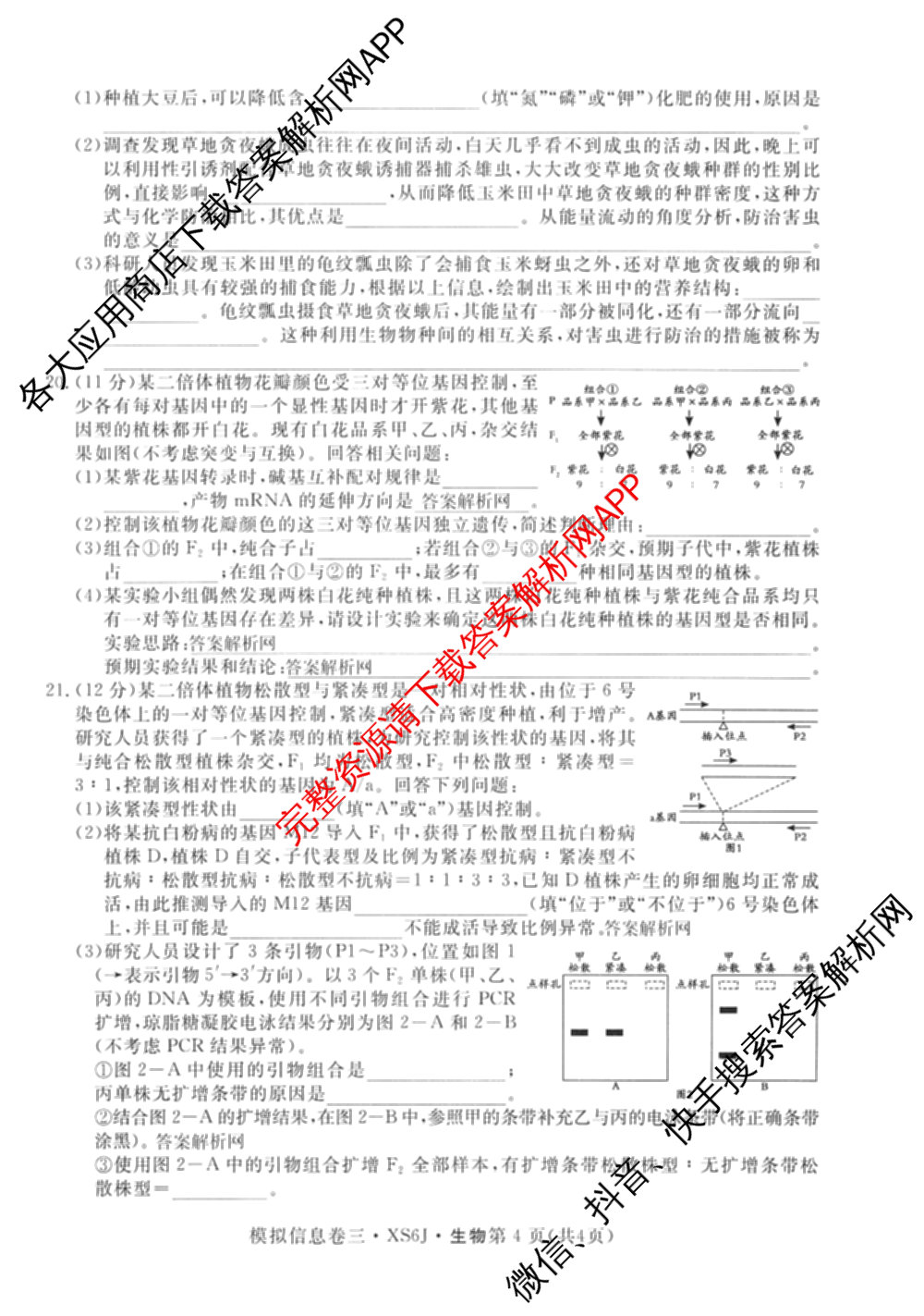 2026年普通高等学校招生统一考试模拟信息卷(三)3（10科全）生物试题