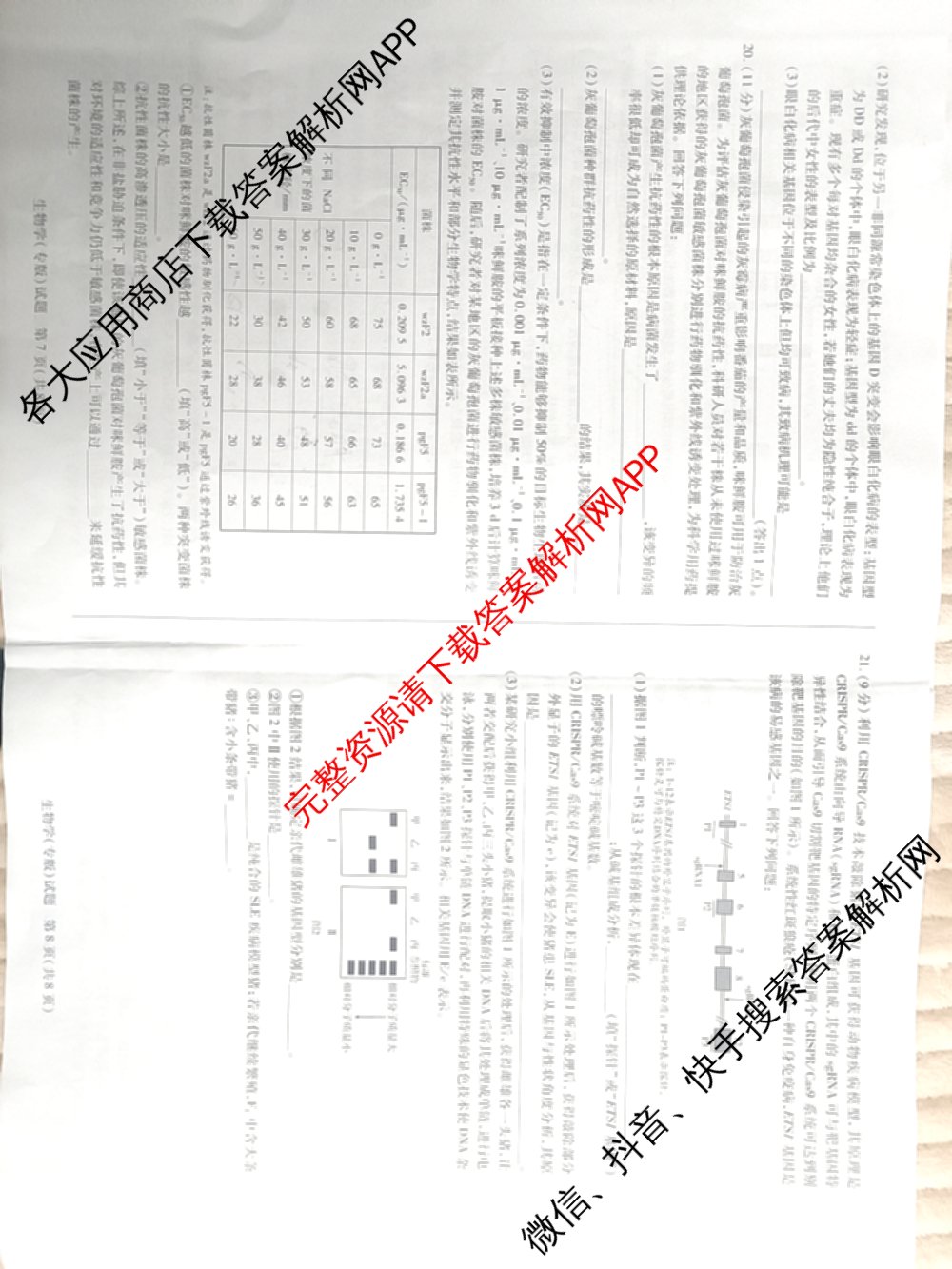 2025-2026学年(上)高三年级天一小高考(一)（含化学 历史(专版) 数学(专版)等14份）生物试题