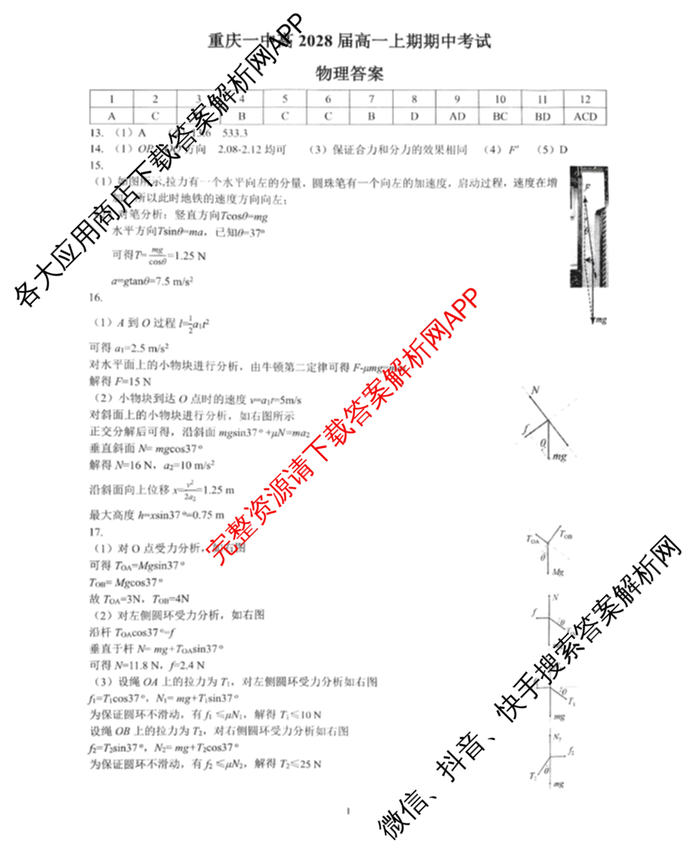 重庆一中高2028届高一上期期中考试（含地理、数学、语文等9份）物理答案