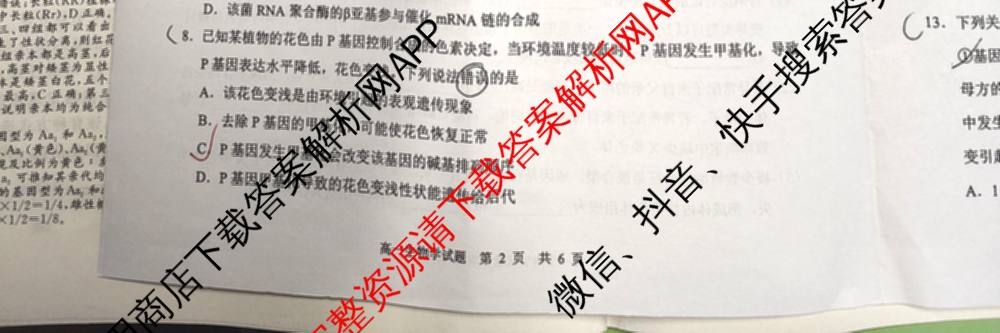 马鞍山市2024~2025学年第二学期期末教学质量监测高一各科答案及试卷: 含英语、地理、物理试卷解析生物试题