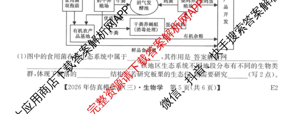2026年全国高考仿真模拟卷(六)6各科答案及试卷: 含历史(安徽) 政治(广西) 政治(E2)试卷解析生物试题