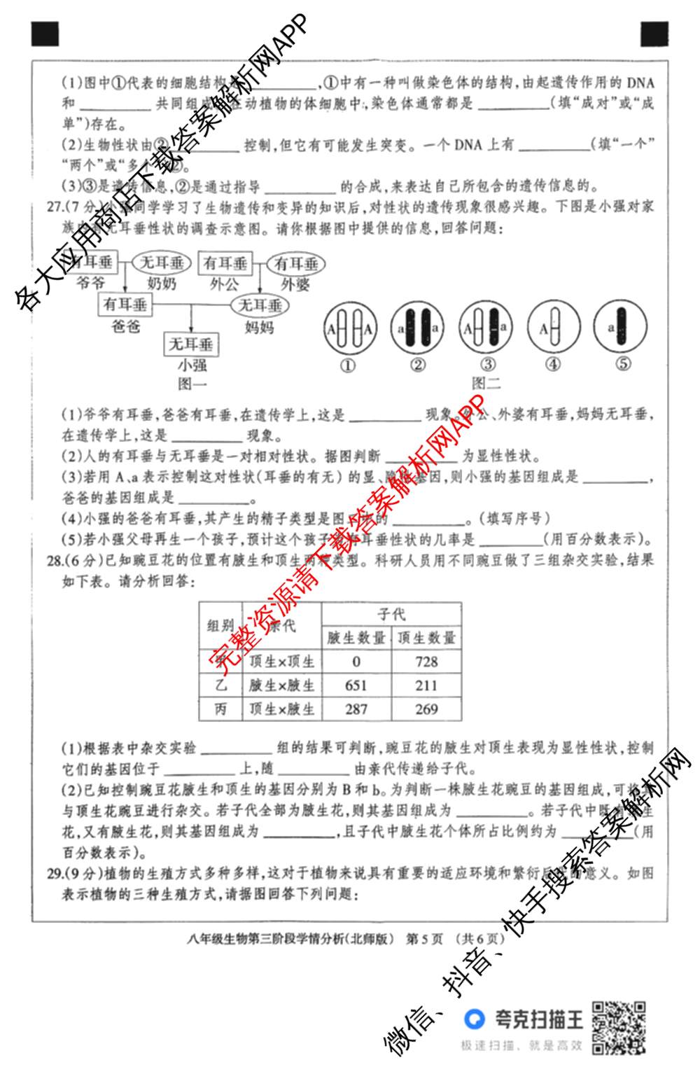 河北省2025-2026学年第一学期八年级第三阶段学情分析各科答案及试卷(已更新地理(中图版) 英语(人教版) 数学(人教版)等8份)生物试题