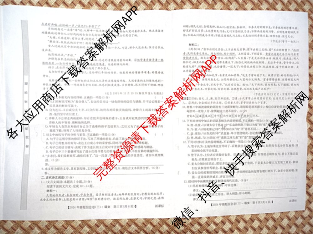 2024年全国高考临门一卷(三)（含文数(老教材) 数学(新课标) 文综(新课标)等）语文试题