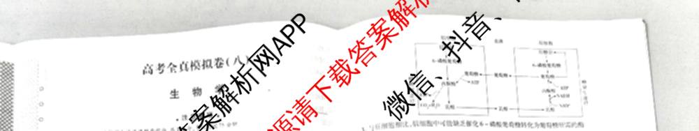 天一大联考2026届高考全真模拟卷(八)8（含生物(专版)、历史(专版)、政治(安徽专版)等）生物试题