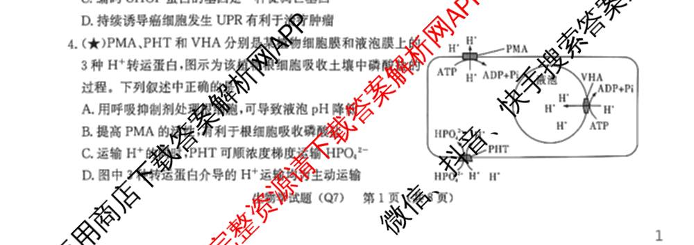 炎德英才大联考长沙市一中2026届高三月考试卷(七)(Q7)各科答案及试卷: 含英语 地理 数学试卷解析生物试题