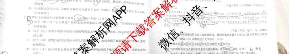 云南省名校联盟2026届高三上学期联考模拟(四)[试卷无标题]（含政治、地理、历史等）语文试题