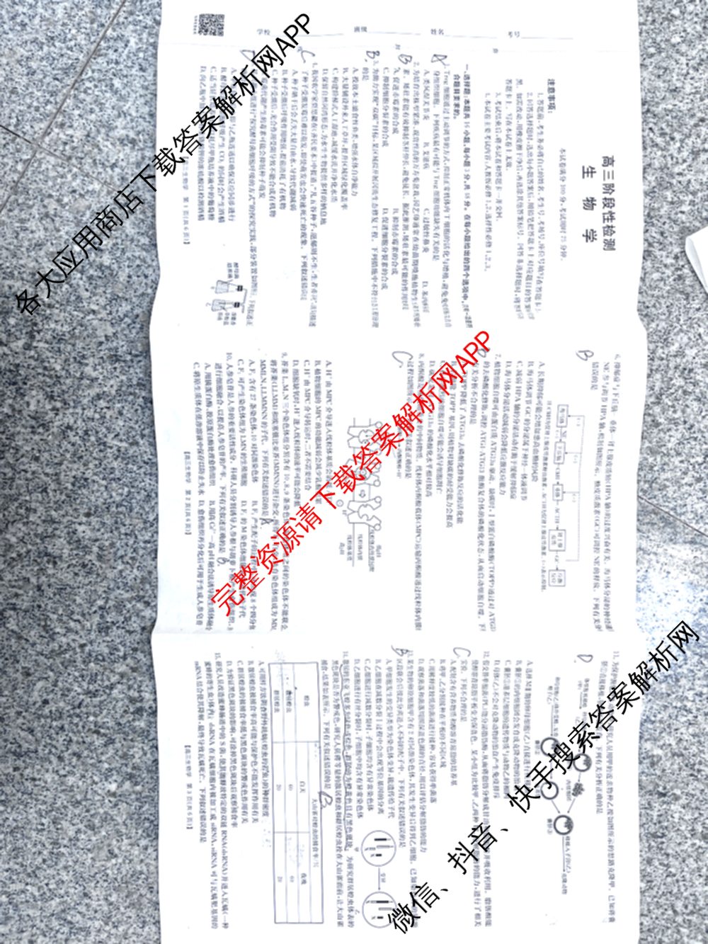 甘肃2026届高三阶段性检测(10.29): 含化学 数学 地理试卷解析生物试题 甘肃2026届高三阶段性检测(10.29): 含化学 数学 地理试卷解析生物试题